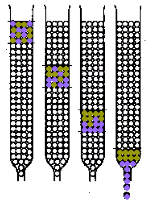 Separation column