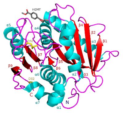 Structure of PETase