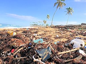 A polluted beach