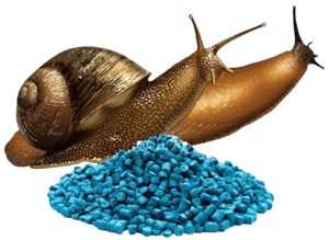 Slugs and pellets