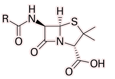 Penicillin