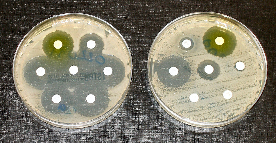 Antibiotic resistance tests