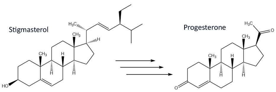 The soy semi-synthesis